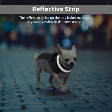 Водонепроникний зимовий одяг для собак - куртка для дрібних порід (Даксель, Бульдог, Чихуахуа) сірого кольору