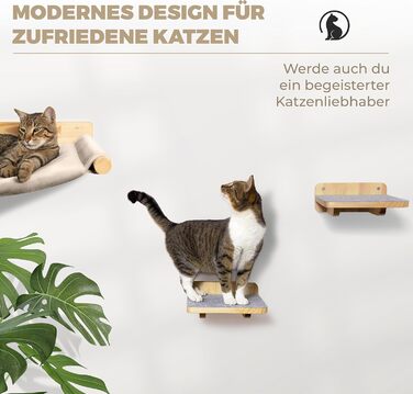 WOOWOOD® Стіна для лазіння котів з 2 сходами, масив дерева, настінний комплекс, гамак, кігтеточка, меблі для котів, повний комплект (5 елементів)