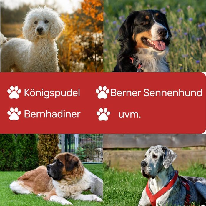 Ножиці кухонні EHASO Revolution Black Schere Titanium 25 см, вигнуті, японські