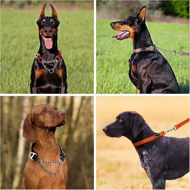 Plutus Pet Мартингейл нашийник для собак із нержавіючої сталі та світловідбиваючого нейлону, регульований, проти ривків, рожевий, розмір M, для малих, середніх і великих порід