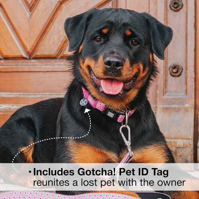 Нашийник для собак Max & Molly з надійною застібкою, веселий стиль, водонепроникний, зручний, регульований, з QR-кодом для ідентифікації тварин, ретро-рожевий, розмір M (13-21 дюймів)