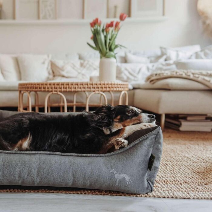 Ортопедична подушка для собак Hunter Merida з Memory Foam, розмір M, антрацит - для підтримки суглобів та спини