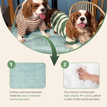 Килимок для собак Pettidot 70x55 см, зелений, знімний чохол, лежанка для собак середніх та маленьких порід