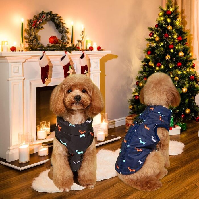 Тепла куртка для собак на зиму від Asmea: чорна, для чихуахуа, такси, S, M. Водонепроникна, з отвором для повідка.