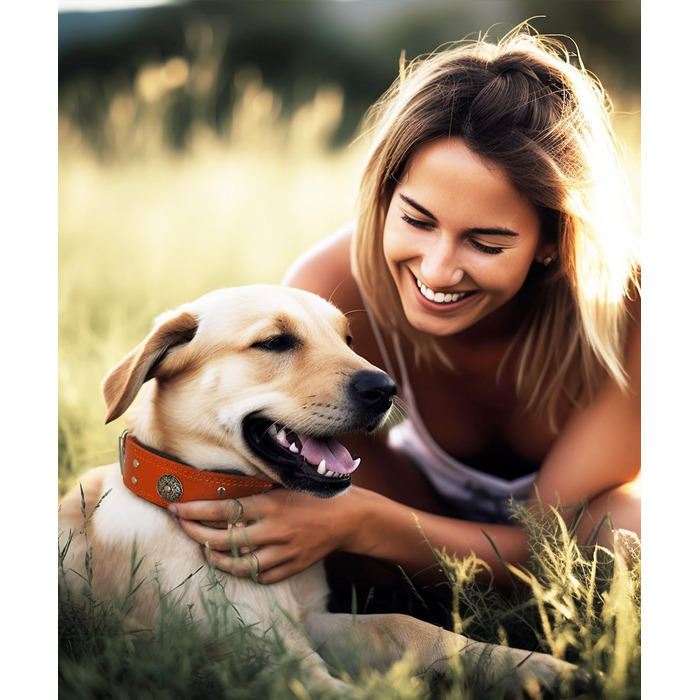 Нашийник для собак з натуральної шкіри, 5 см, помаранчевий, ручної роботи, L (53.5-63 см)