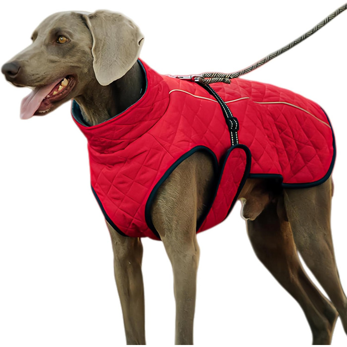 Зимовий теплий жилет для собак | Вітростійкий бавовняний жилет - теплий та м'який жилет для собак, для пікніків, прогулянок, катання на лижах, кемпінгу та міських прогулянок (червоний)