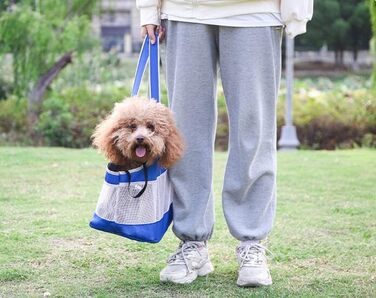 Сумка-переноска для собак та котів, літня, з сіткою, блакитна