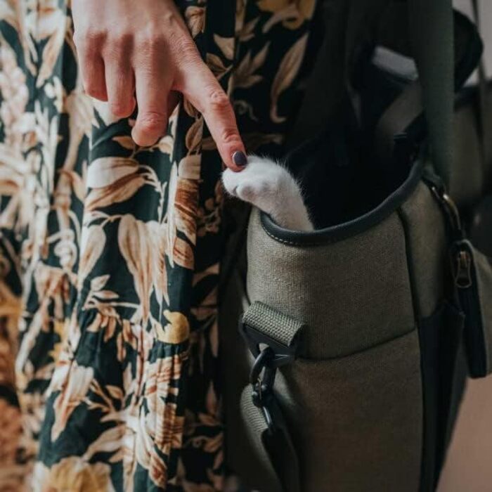 Сумка-переноска для собак та котів до 7 кг Madison, бавовна, хакі, 40 x 20 x 30 см