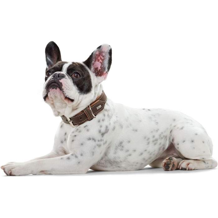 Нашийник для собак HUNTER PORTO, колір: темно-коричневий/cognac, з олив'яної шкіри, м'який та зручний, не травмує шерсть, міцний, ручної роботи, розмір: 60x60 см, темно-коричневий/cognac