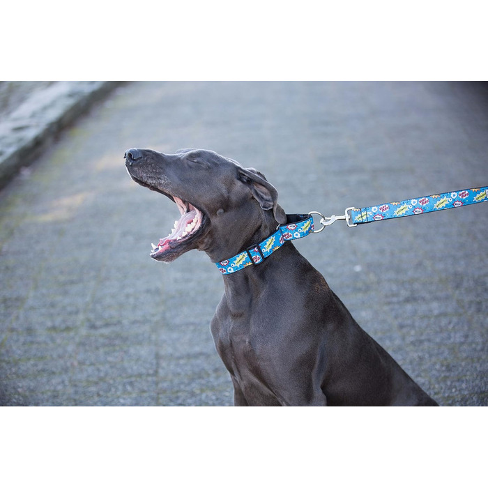 Нашийник Martingale для собак RC Pet Products, ширина 2,5 см, текстильний, з комікс-принтом