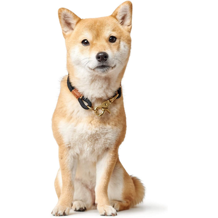 Нашийник для собак HUNTER OSS, мотузка, латунь, морський стиль, L-XL (чорний, 40 (S-M))