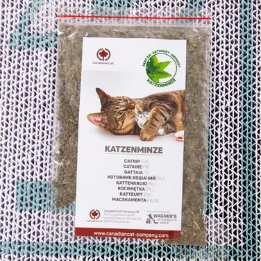 CanadianCat Company Кігтеточка для котів MEGA SPARPACK XXL Orbit і Satellite 2.0, набір з котячою м'ятою, якісний картон, бірюзова, 2 кігтеточки