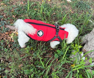 Водонепроникна тепла куртка для собак на шлейку, зимовий одяг для малих, середніх та великих собак, підходить для Лабрадорів, Чихуахуа, Французьких бульдогів, Зелений (XS (1-2кг), Червоний)