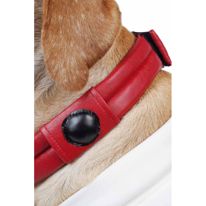 Костюм для собак та котів Space Dog на Хелловін, XXL, білий/розкішний сад