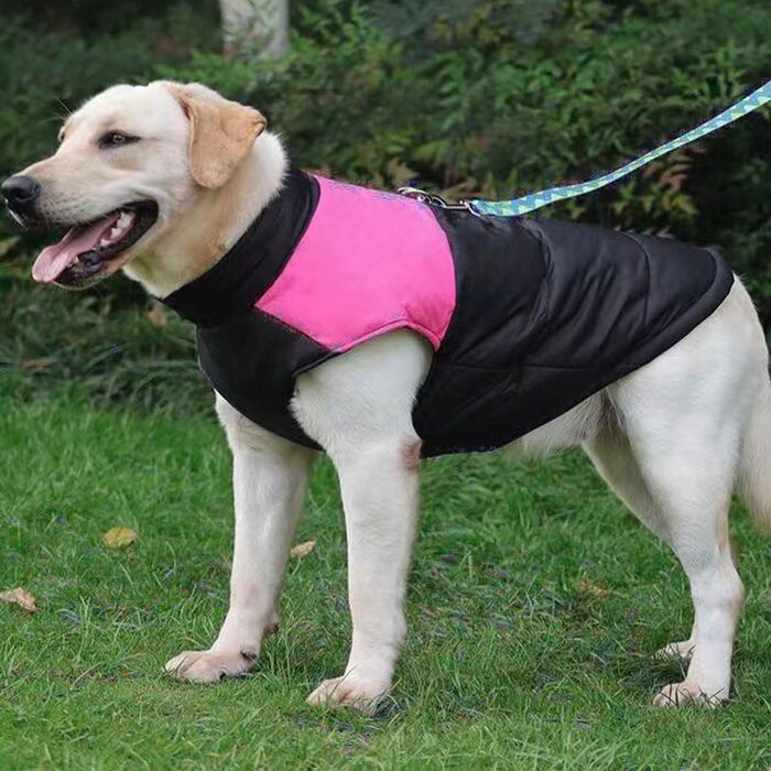 Водонепроникний теплий зимовий одяг для собак: тепла флісова куртка з відстібаним коміром та регульованою жилеткою Hunter для малих, середніх та великих собак (C, L)