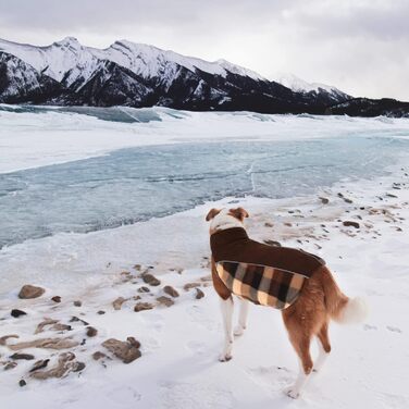 Теплий зимовий одяг для собак CITE TOILE з захистом живота, світловідбиваючими елементами, для собак великих порід, коричневий, XXL