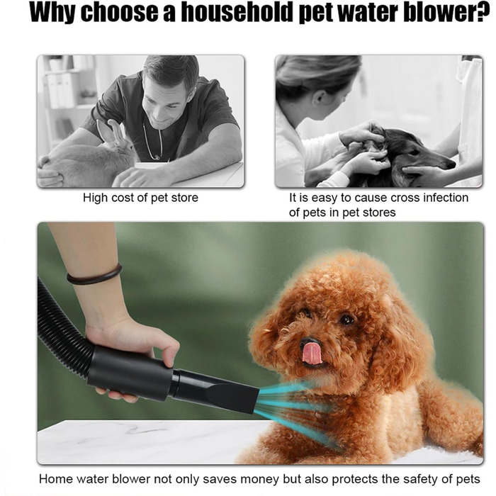 Професійний фен для собак 2800W, регульована швидкість та тепло, 4 насадки, синій