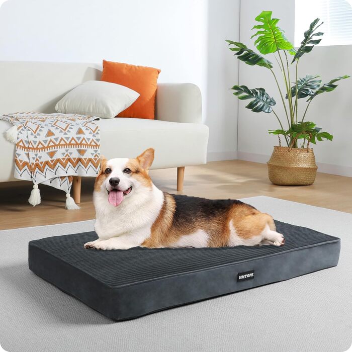 Ортопедичне ліжко для собак HMTOPE, 9 см товщина, для середніх собак, знімний та пральний килимок, неслизьке дно, водонепроникне внутрішнє покриття, 91 см, темно-сірий, розмір 91 x 56 x 9 см