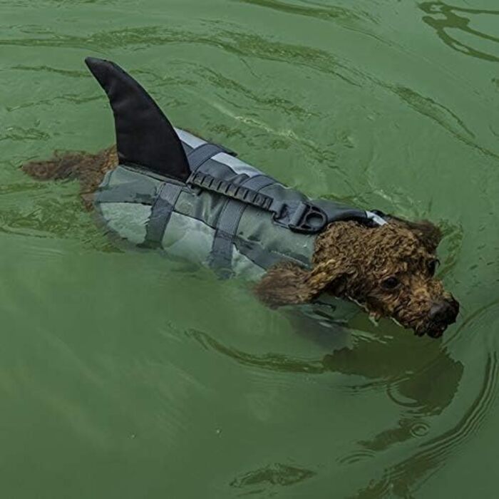 Жилет для плавання собак, жилет для початківців, регульована шлейка та рятувальний ручка (Hai, M)