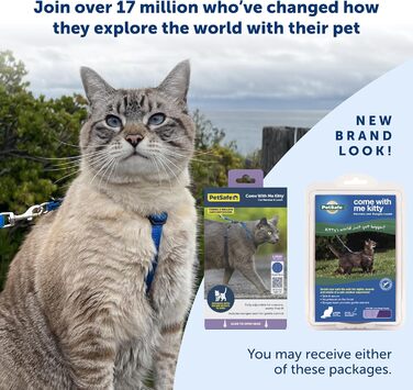 Шлейка для котів PetSafe Come with Me Kitty з еластичним повідцем, розмір S, синя