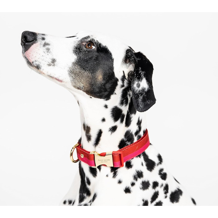 Нашийник для собак Kate Spade New York, регульований, 39,4-61 см, з золотою металевою пряжкою, для середніх і великих порід, червоно-рожевий