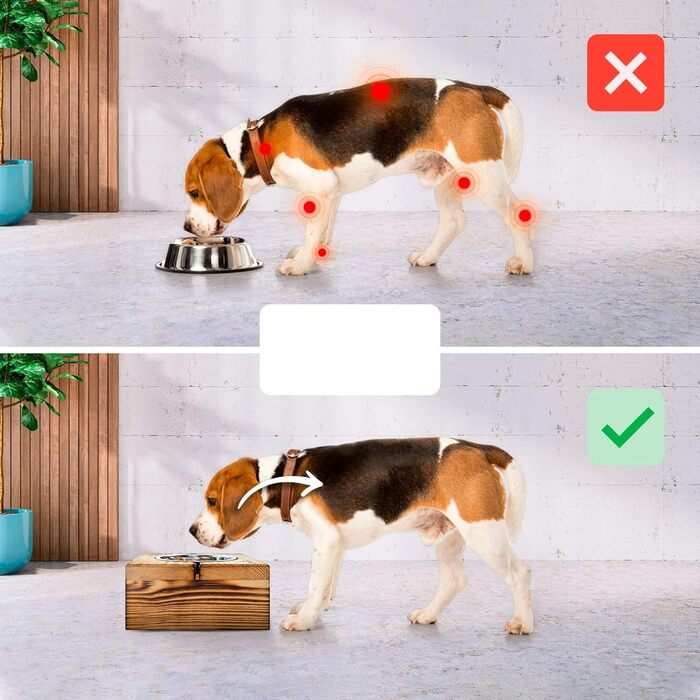 Миска для собак і котів Nobledog з кедрового дерева, станція для годування з двома мисками з нержавіючої сталі, об’єм 2×0,6 л