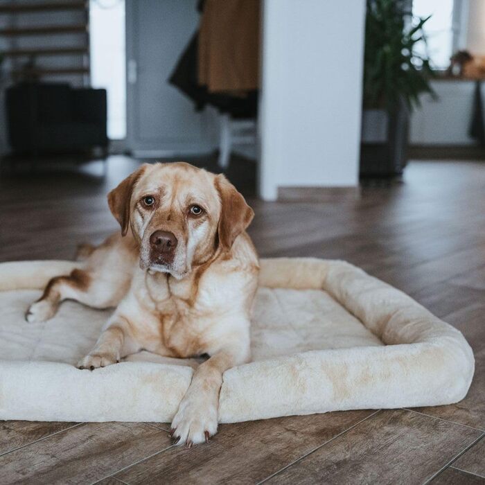 Лежак для собак HUNTER Vermont Cozy S 60x40 см, бежевий