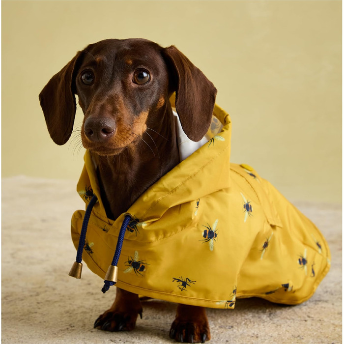 Розкладний жилет для собак Rosewood Joules Go Lightly, розмір S (Small)