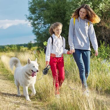 Рулетка для собак нейлонова 8м, міцна, з металевим ланцюгом, для середніх та великих порід (Сіра)