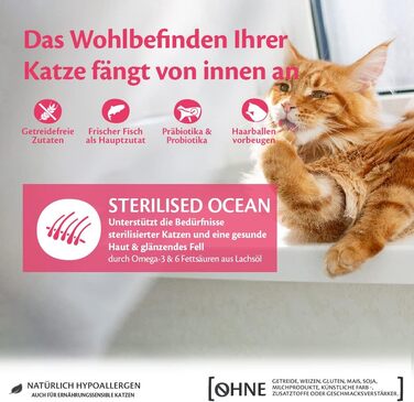 Сухий корм для котів Wellness CORE Original Стерилізовані, Лосось (Океан), 4 кг