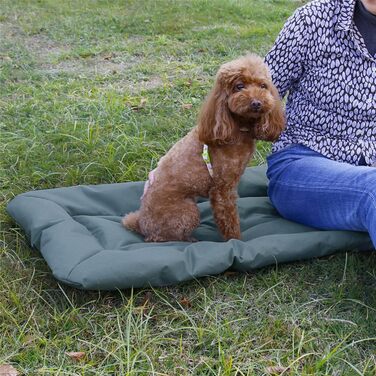 Килимок для собак Bangminda: водонепроникний, для подорожей та кемпінгу, 90x60 см, сірий