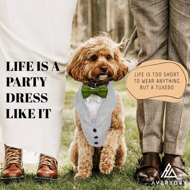 Smoking для собак: елегантний костюм для собак середніх та великих порід. Ідеальний для вечірок, свят, косплею. Сірий smoking з зеленою краваткою, розмір M (обхват грудей 48-66 см).