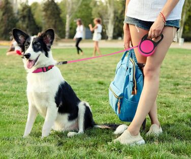 Висувна поводок для собак Taglory, 5м, рожевий, для середніх та великих собак до 45 кг, з надійним гальмом та антиковзним руків'ям