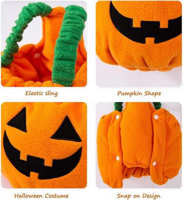 Костюм на Хелловін для тварин BT Bear: Павук, Гарбуз, Розмір L, Cosplay