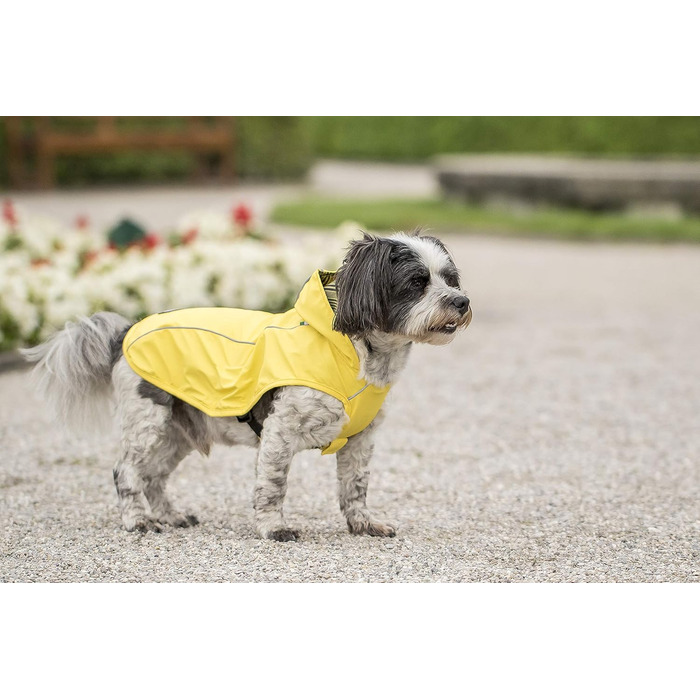 Жовта дощова куртка CHIARA Scotty Regenjacke з інтегрованою підкладкою (L, 100% поліестер, спортивна, водонепроникна)