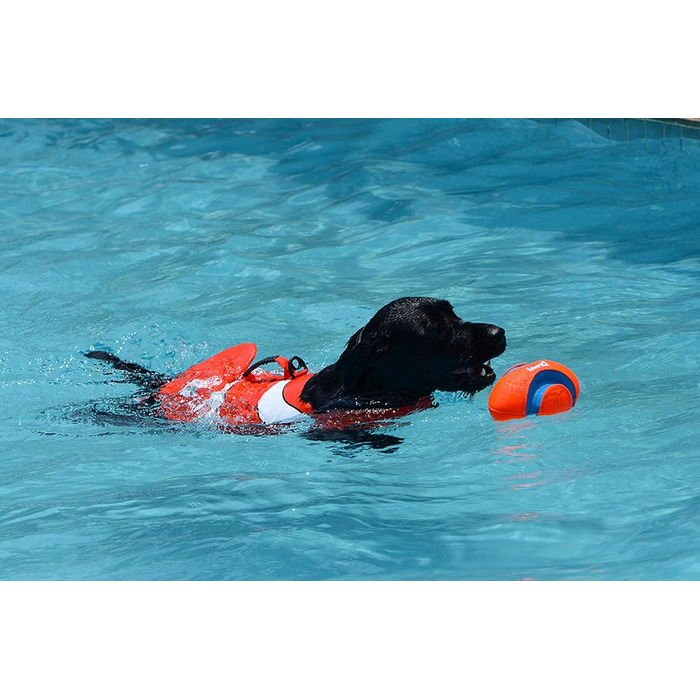 Жилет для плавання собак, жилет для початківців, регульована шлейка та рятувальний ручка (Hai, M)