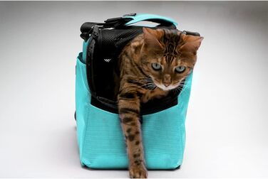 Переноска для тварин Sleepypod Atom для подорожей, авіаперевезень, темно-коричнева