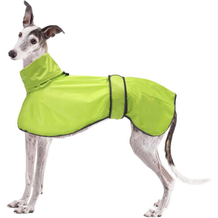 Водонепроникна куртка для собаки Віндхаунд, захист від вітру, зелена M (довжина спини 56-58 см)