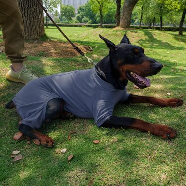 Піжама для собак Lovelonglong, бавовна, трикотаж, 4 лапи, для всіх сезонів, теплий боді для великих, середніх та маленьких собак, колір кава, розмір L (XL для середніх собак), сіро-блакитний