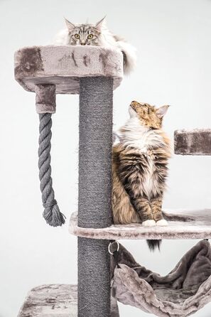 Дряпак для великих котів Petrebels Scenic View 175 см, преміум-якість, XL гамак, сизалевий канат, стійкий, 85x50x175 см, колір капучино