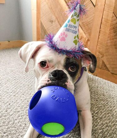 Іграшка для собак Jolly Pets Teaser Ball, 15 см, синя