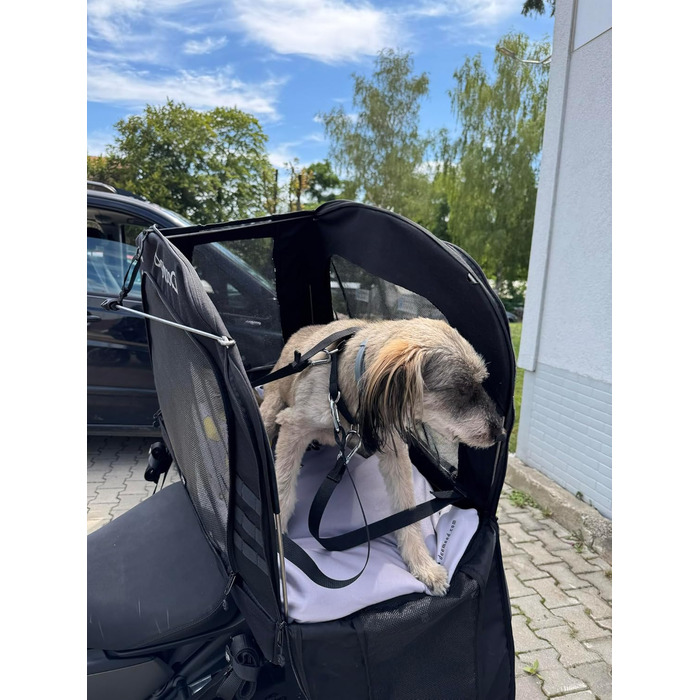 Мотоциклетна сумка для собак і котів PETBAG XS (2-5 кг), водонепроникна, з вентиляцією, для багажника або сидіння, з кордури