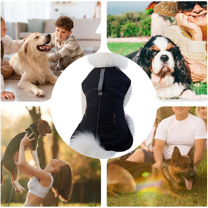 Зимовий теплий одяг для собак: куртка з коміром-стійкою, тепла ізольована верхня частина з м'яким флісом, костюм для цуценят з вітронепроникним дизайном, одяг для собак маленьких та середніх розмірів для прогулянок у холодну погоду
