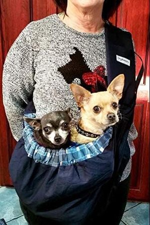 Сумка-переноска для собак та котів, Outdoor, блакитний плед | OrgMemory