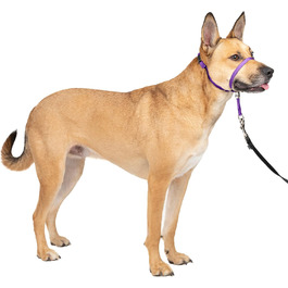 Нашийник для дресирування PetSafe Sanfter Führer, фіолетовий, Medium (упаковка 1)