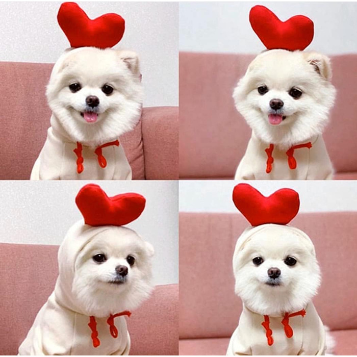 Теплий худі для собак XIAOYU: зручний зимовий одяг для цуценят та собак, теплий комбінезон з капюшоном