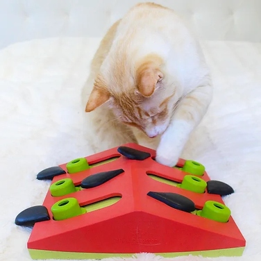Інтерактивна головоломка для котів Nina Ottosson Cat Puzzle Play — Melon Madness