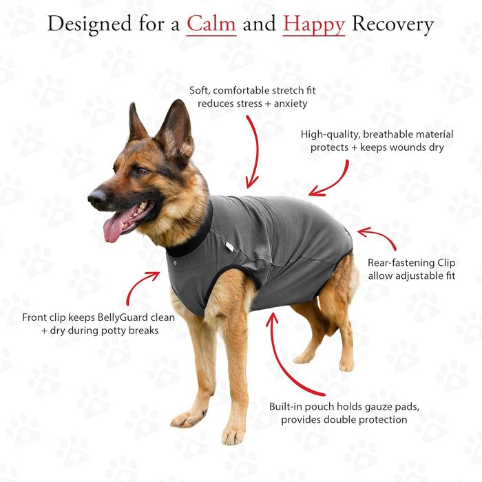 Захисний боді для собак після операції (кастрація/стерилізація), альтернатива нашийнику, сірий, 2XL