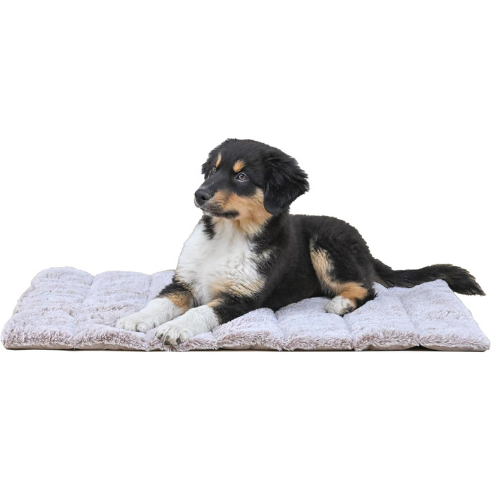 Килимок для собак середнього розміру, прямокутний, бежевий – захищає суглоби, двосторонній, літо/зима, легко транспортується, не деформується, можна прати в машині, L (65 x 80 см)