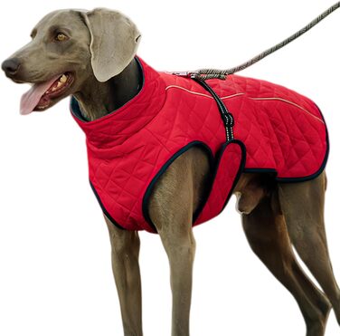 Зимовий теплий жилет для собак | Вітростійкий бавовняний жилет - теплий та м'який жилет для собак, для пікніків, прогулянок, катання на лижах, кемпінгу та міських прогулянок (червоний)